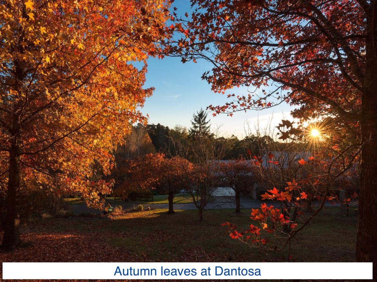 Dantosa Blue Mountains Retreat Villa Katoomba Eksteriør bilde